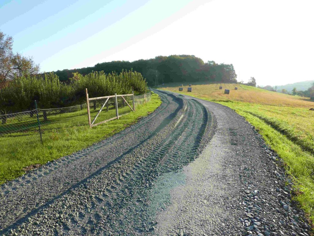 Kleinmuerbisch Burgenland Gemeinde Südburgenland Urlaub Natur Sonne