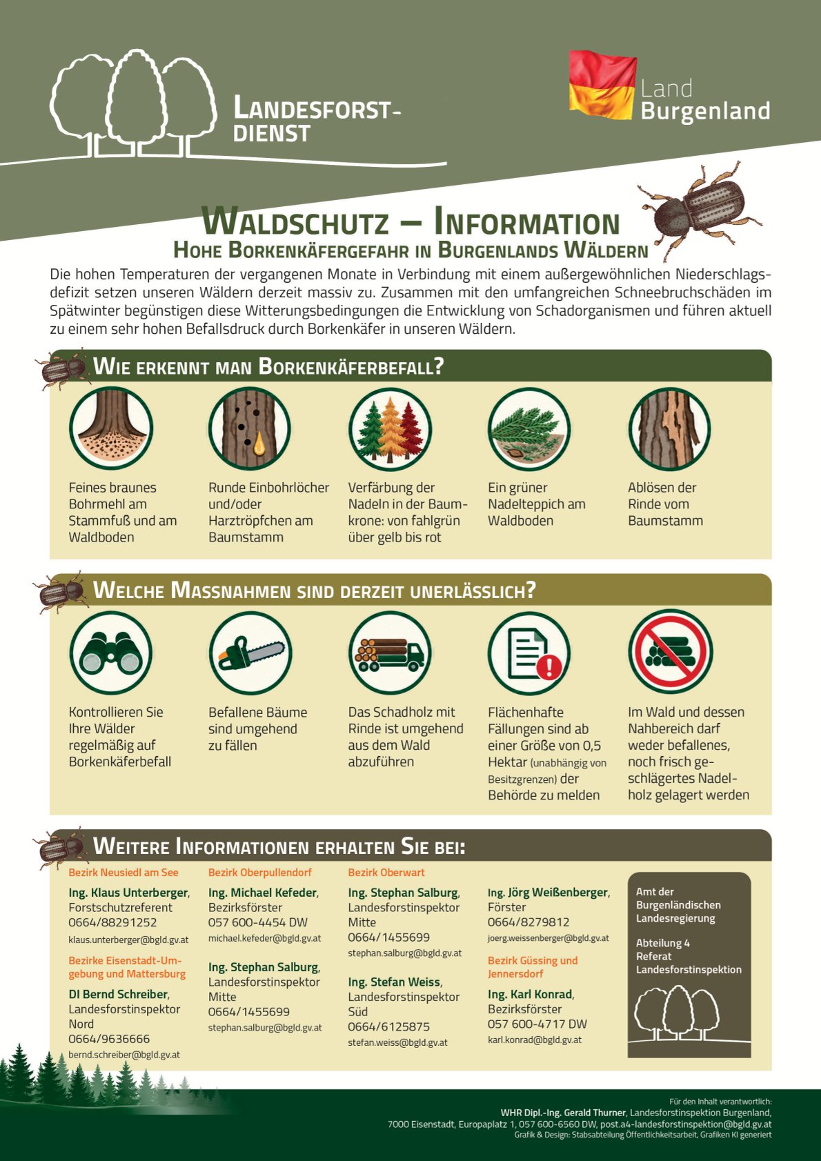 Mehr über den Artikel erfahren Wichtiger Hinweis für Waldbesitzer:innen – Borkenkäfer